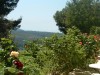 LES ROCHES ROUGES