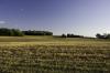 ferme de Puiseleau