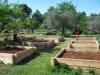 Domaine de la Garrigue Tavernes Var 