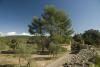 Domaine de la Garrigue Tavernes Var 