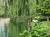 BAIE DE SOMME LA FERMETTE DU MARAIS