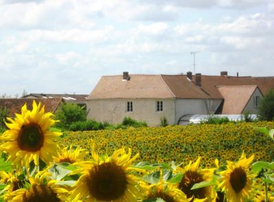 ferme de puiseleau