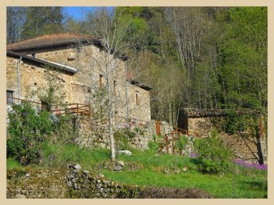 le bouchon de campagne