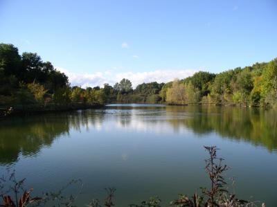 domaine de pellecahus