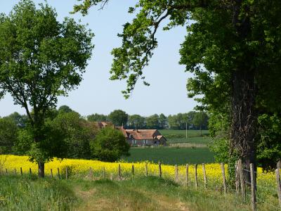 la grande chaume