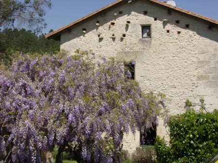 la maison des dîmes