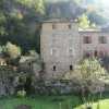 Photo de Gîtes les Osiers