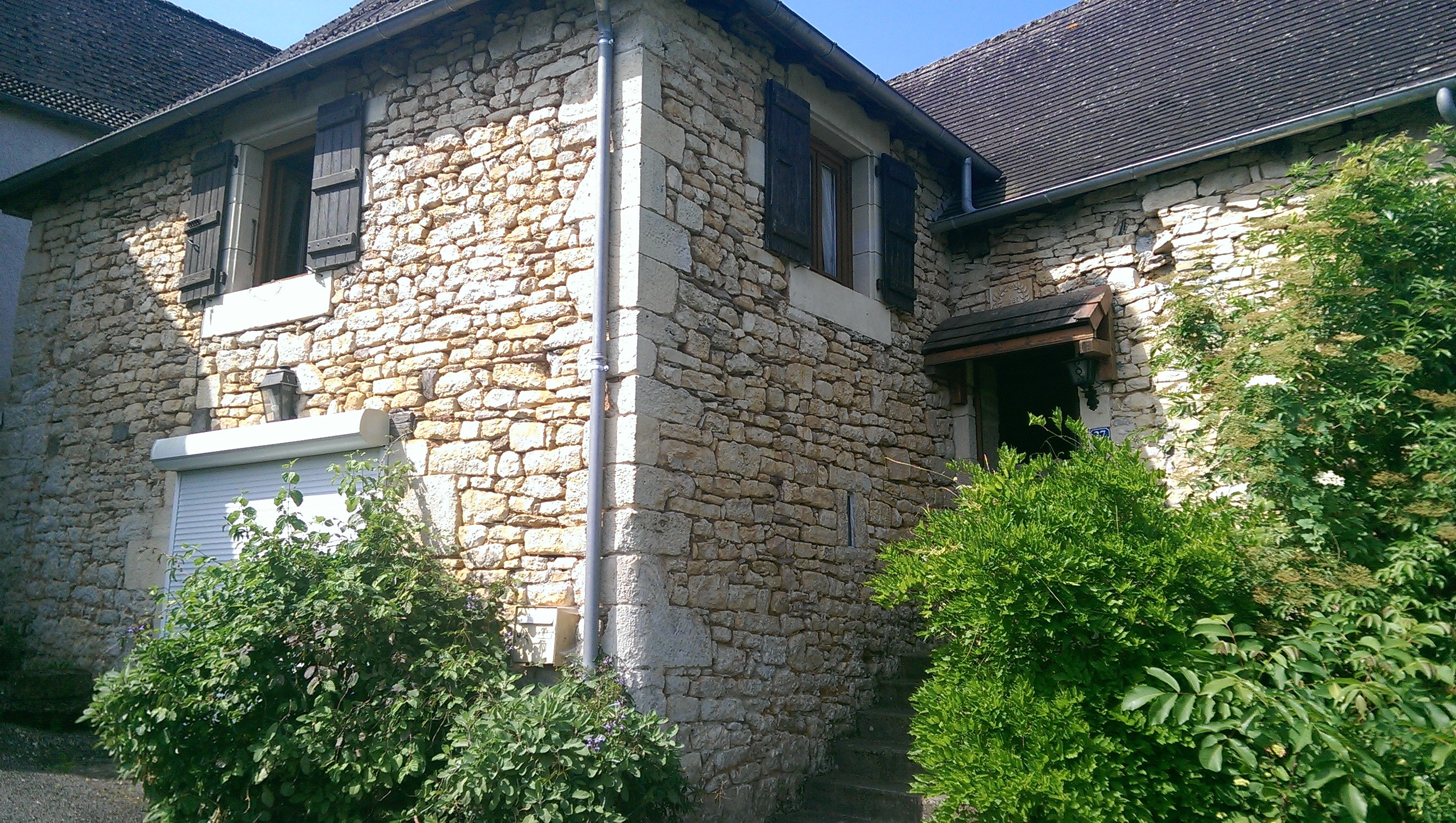 a sample image