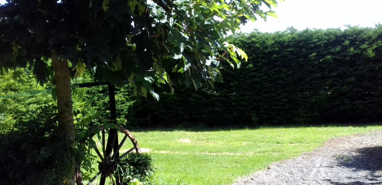 a sample image