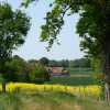 Photo de La Grande Chaume