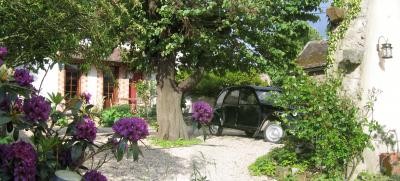 a sample image