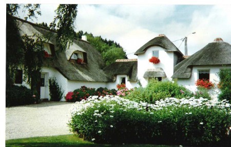 a sample image