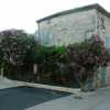 Photo de les lauriers roses