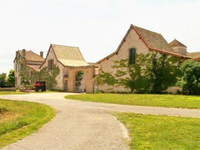 a sample image
