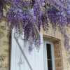 Photo de Preuilh chambres d'hôtes dans les Landes