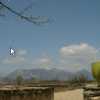 Photo de 