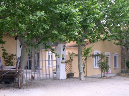 a sample image