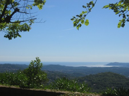 a sample image