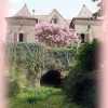 Photo de