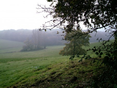 a sample image