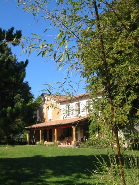 a sample image