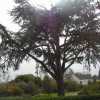 Photo de 