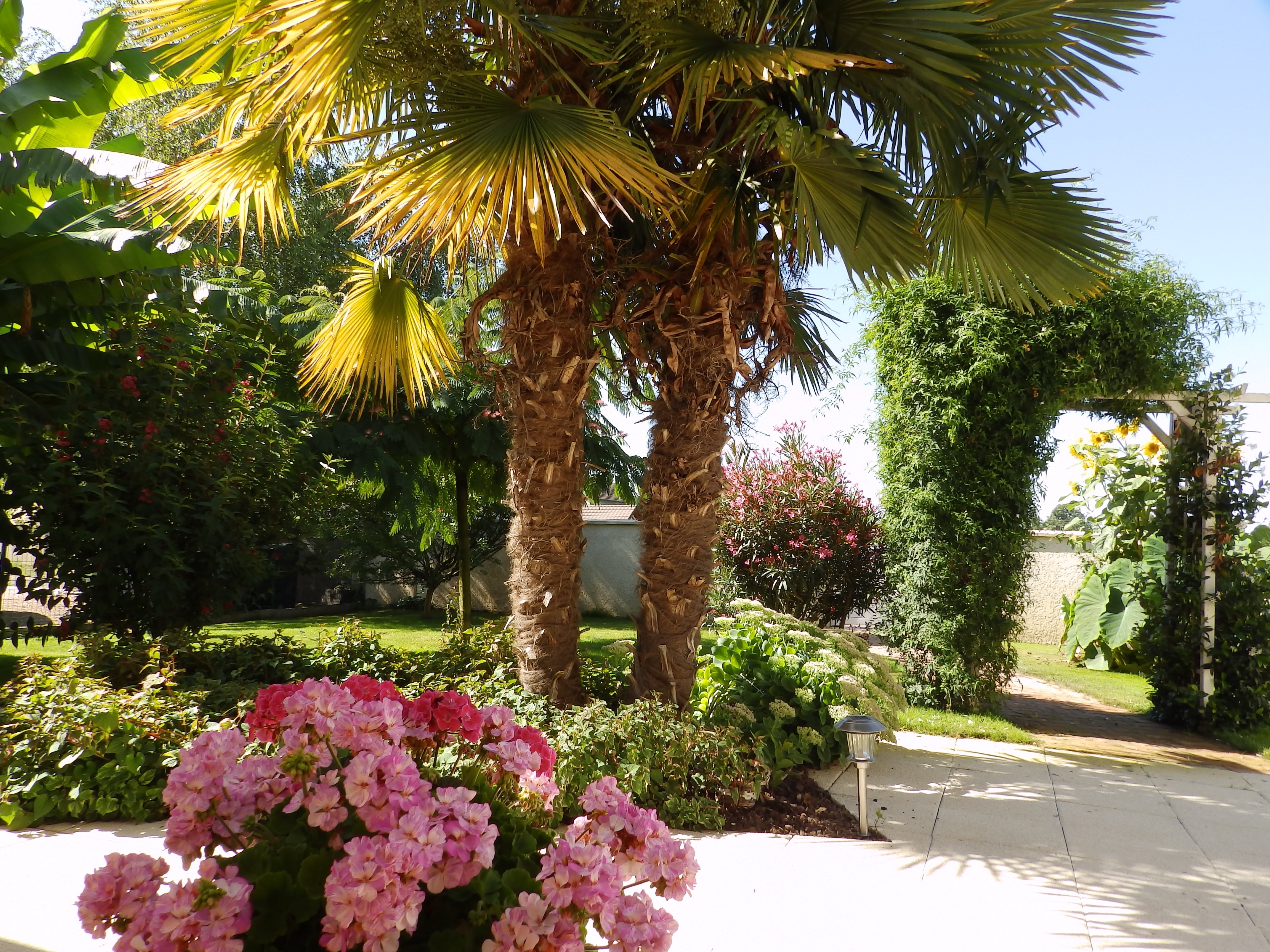 a sample image
